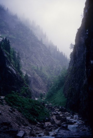 looking out the gorge