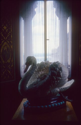 swan inside the castle
