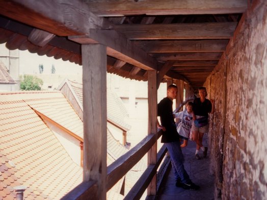 family on the wall