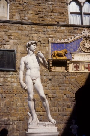copy of David
