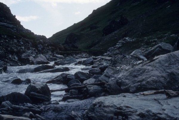 mountain stream