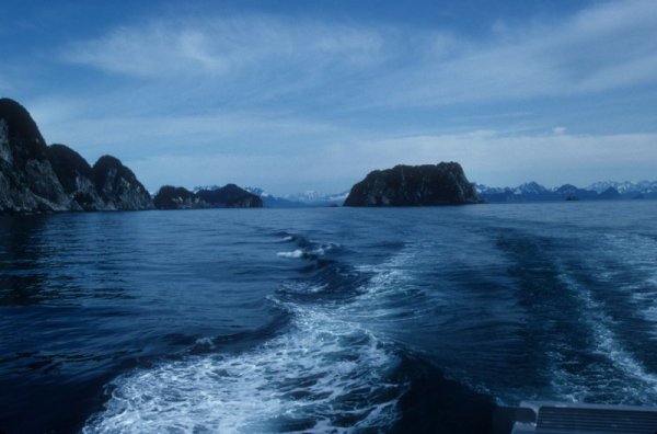 view from the boat