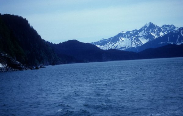 panoramic view