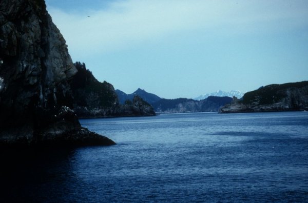 panoramic view