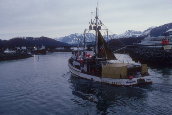 Resurrection Bay boat
