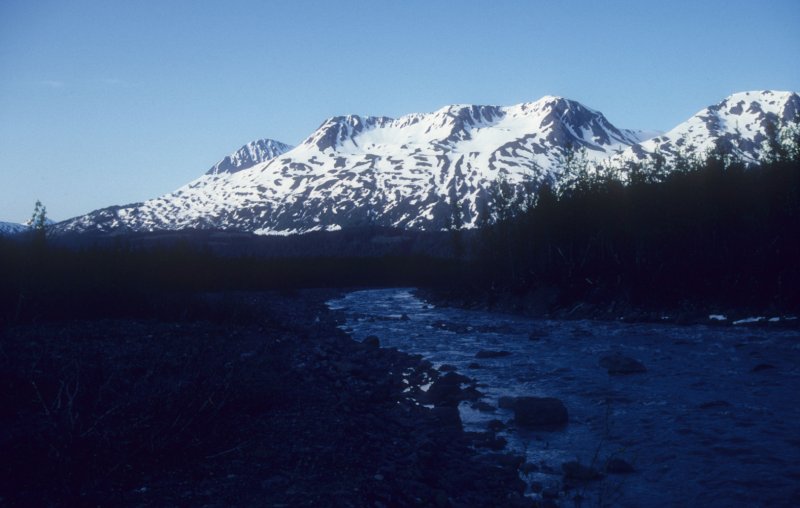 stream at Exit Glacier