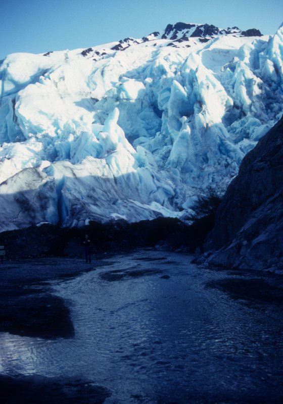 Exit Glacier