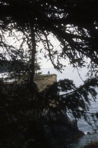 Hal on a seaside rock