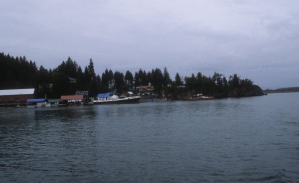 Halibut Cove