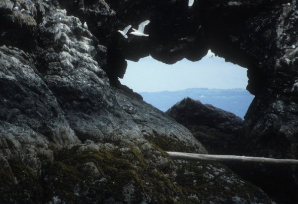 hole in the rocks