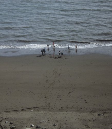 kids on the beach