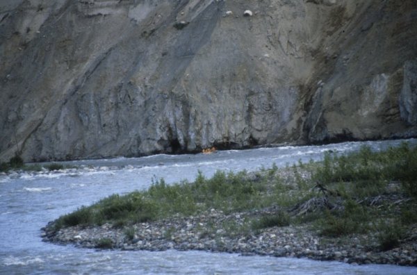 raft on the Nenana
