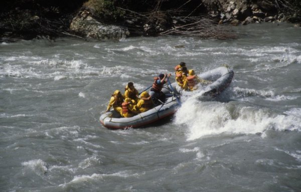 rafters