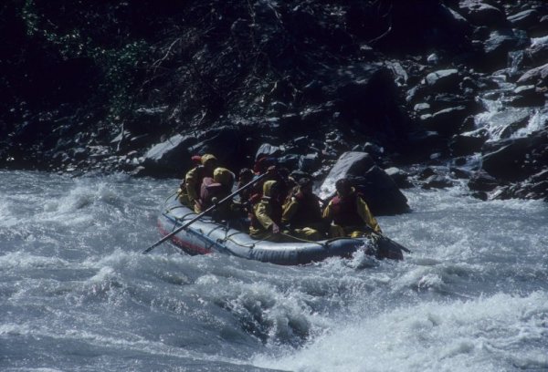 rafters