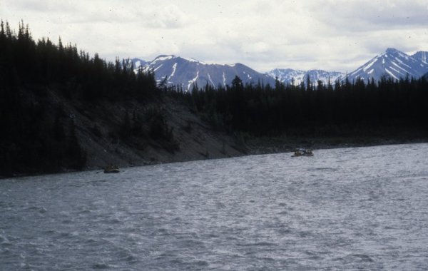 rafts on the Nenana