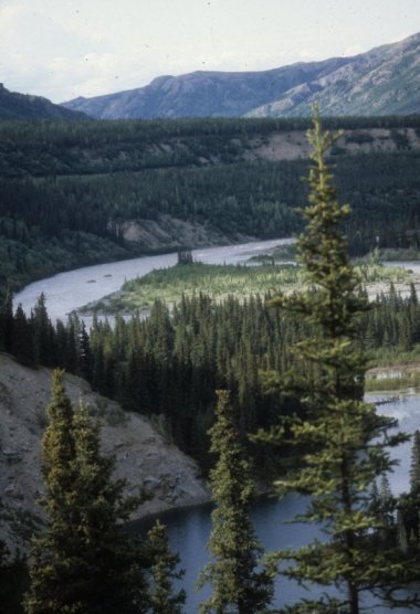 Nenana River