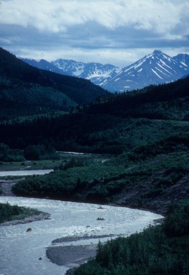 Nenana River