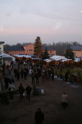 Christmas market