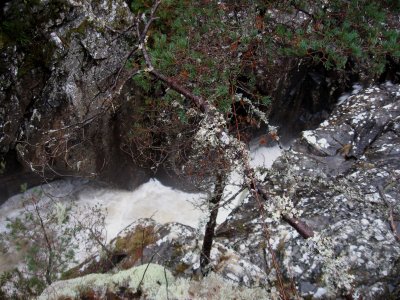 Dog Falls