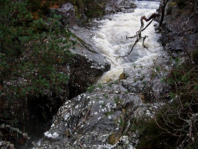Dog Falls