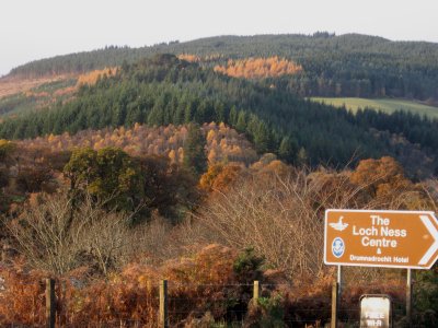fall color in Drumnadrochit