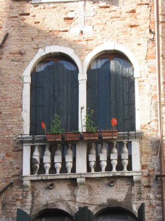 whimsical windows