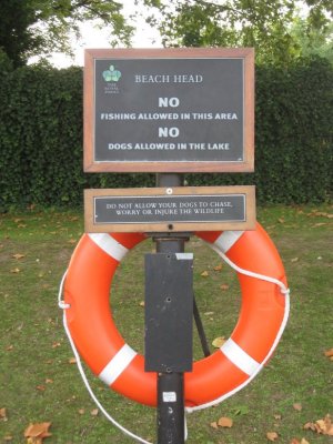 sign by Serpentine