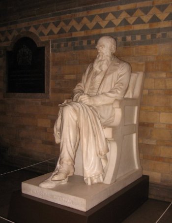Darwin statue