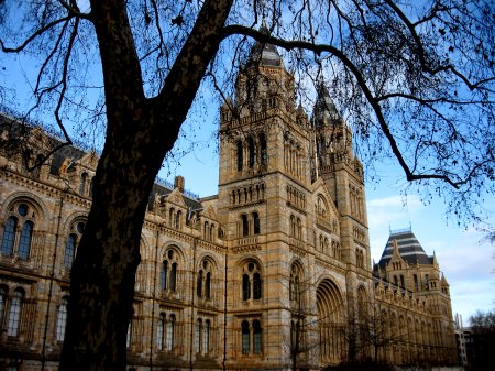Natural History Museum
