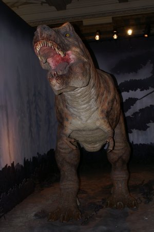 T.rex
