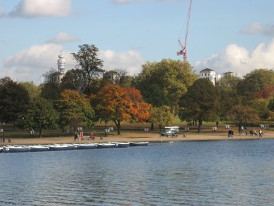 Serpentine