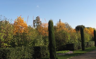 Regent's Park