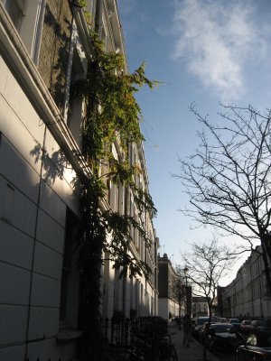 Finborough Rd.