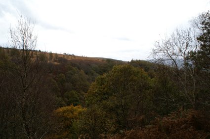 along the trail