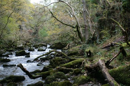 River Mellte