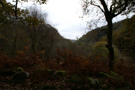 along the trail