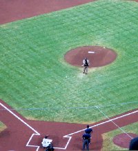 Hank Aaron