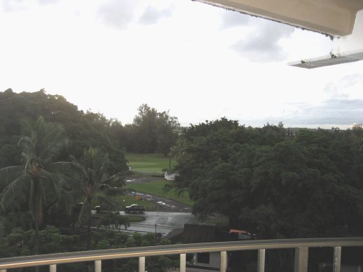 Banyan Drive