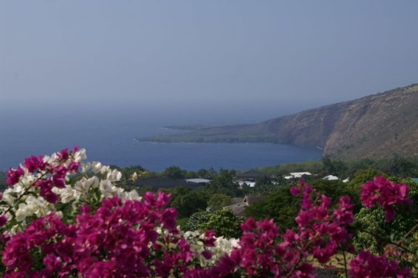 Kona scene