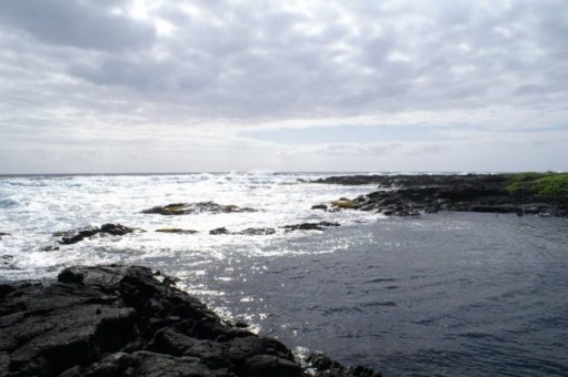 Hawaiian sunlight