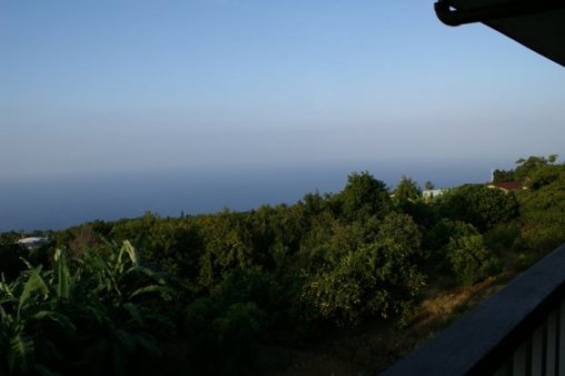 View from the hotel