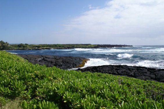 Punalu'u panorama