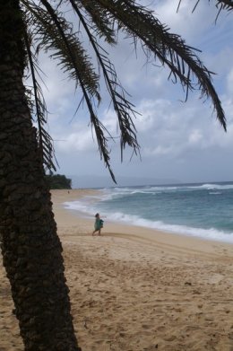 Beach scene