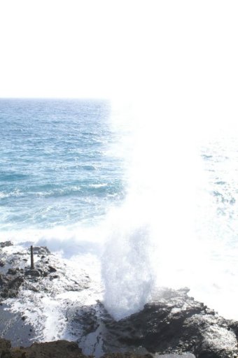 Blowhole up close