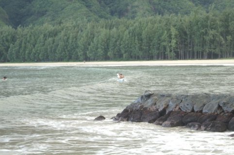 Waves and shore