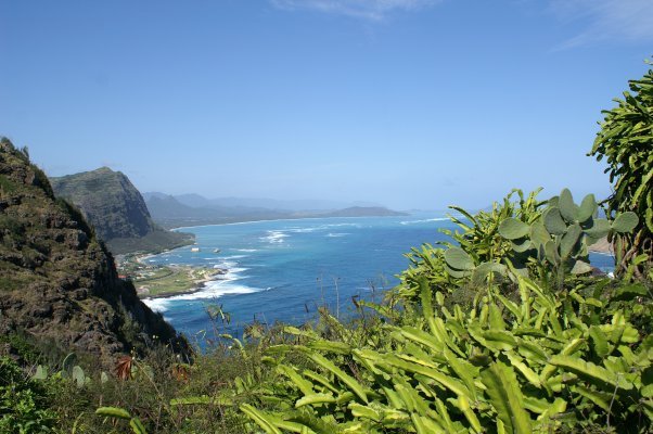 View from the overlook