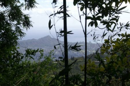 View of Diamondhead