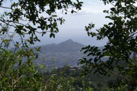 Diamondhead view