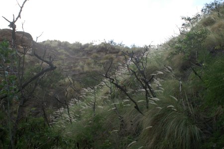 Along the trail