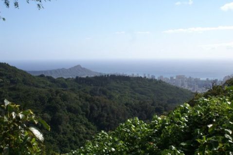 Diamondhead